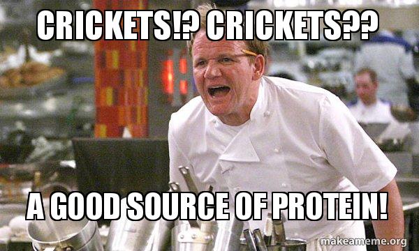 gordan ramsey cricket meme