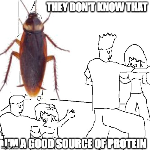 cricket protein memes