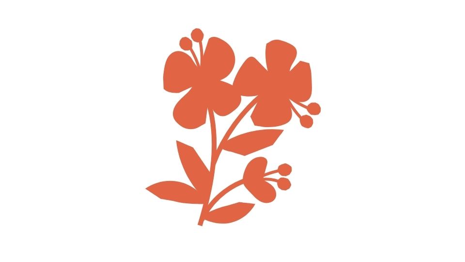 illustration simple