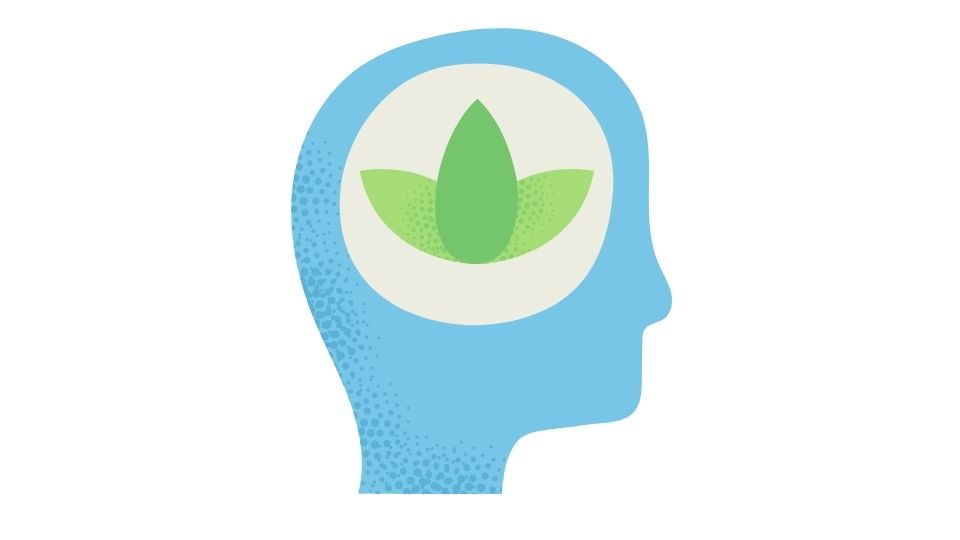 the simple illustration