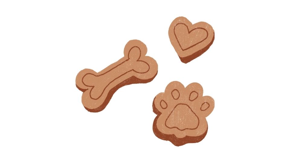 dog food