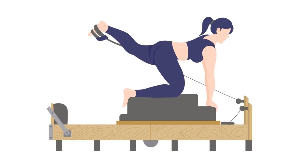 gym illustration