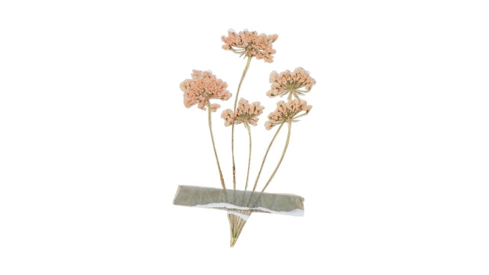illustration simple vintage