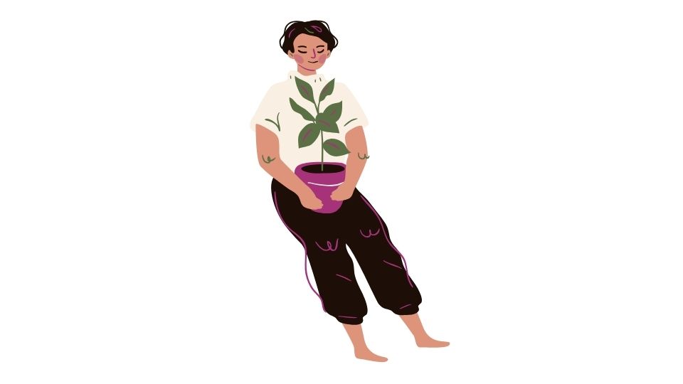 the new illustration