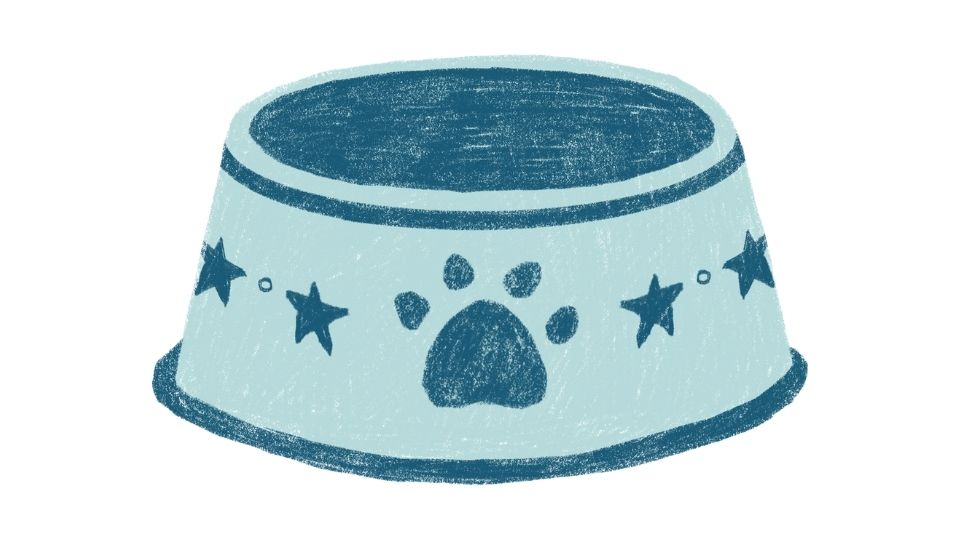 cats food