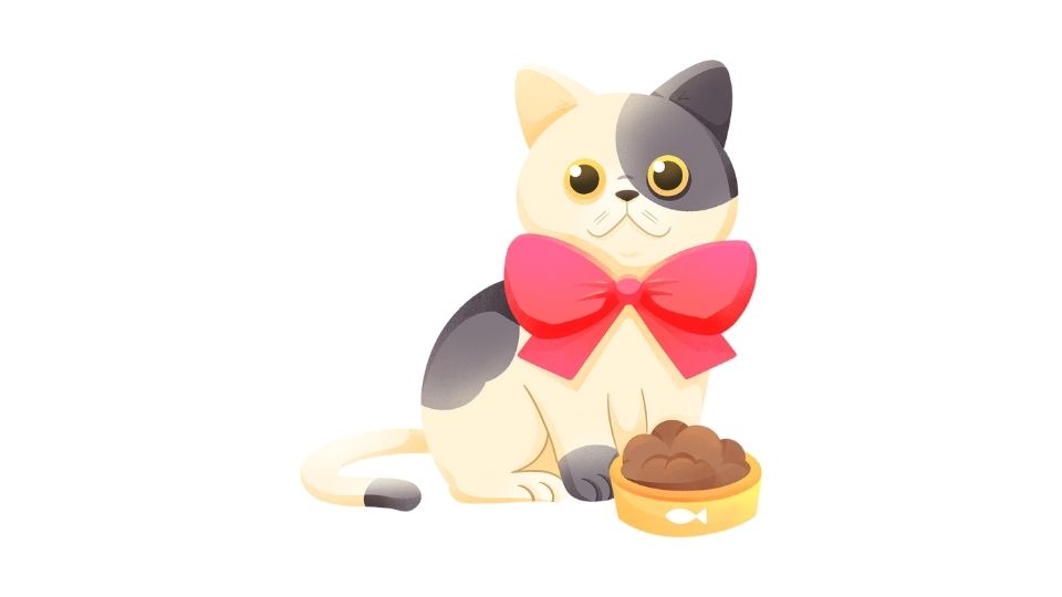 cats food