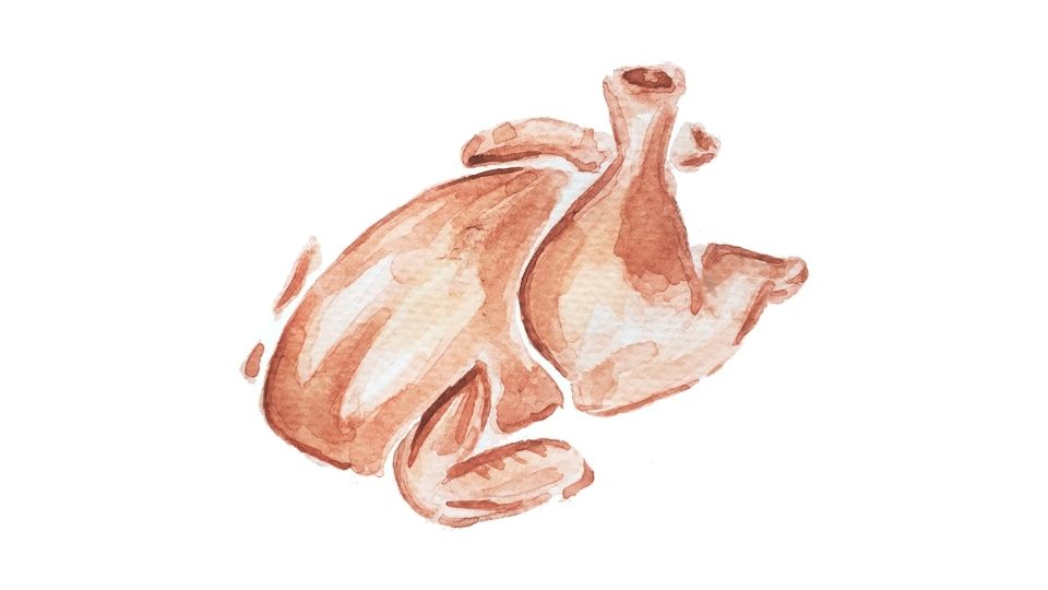 chicken