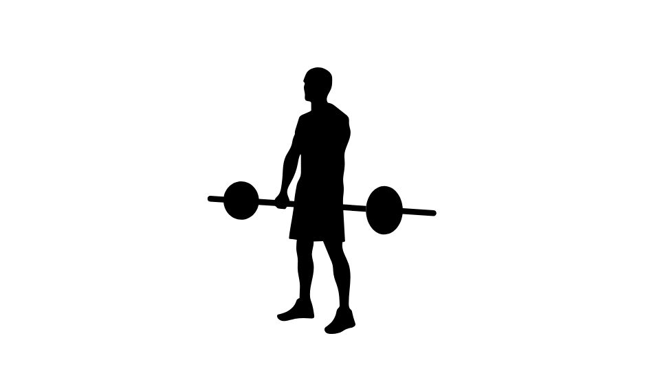 fitness silhouette