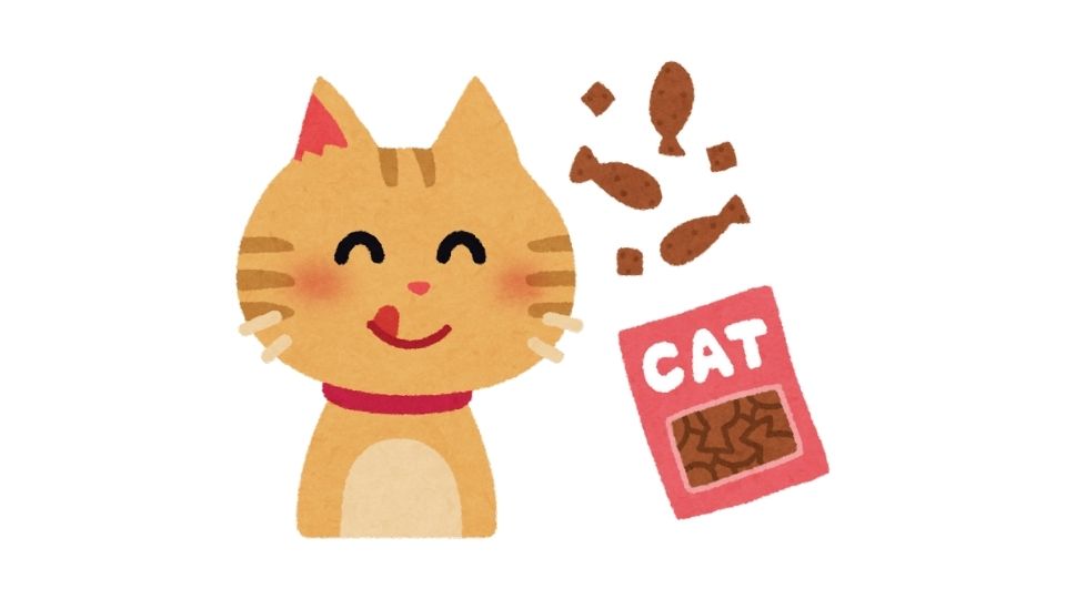kitten food