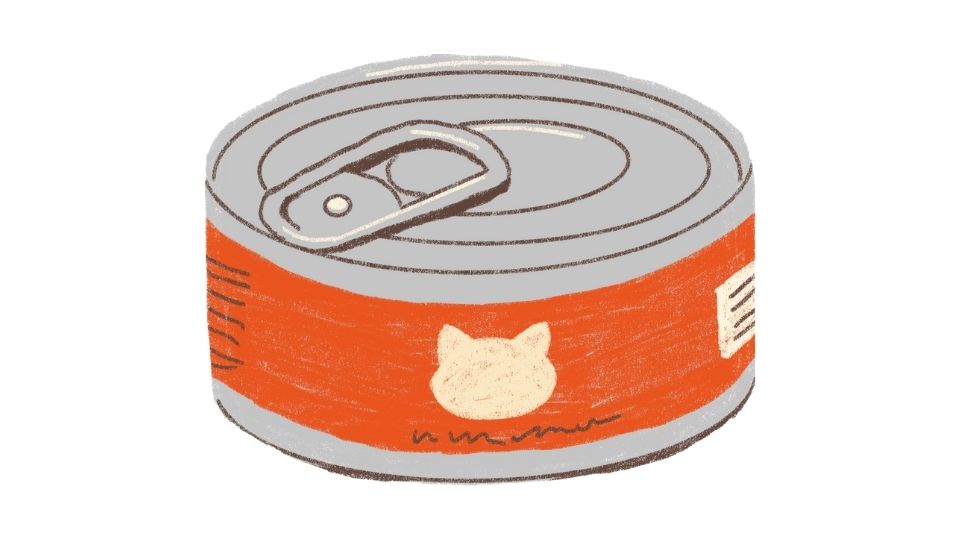 kitten food