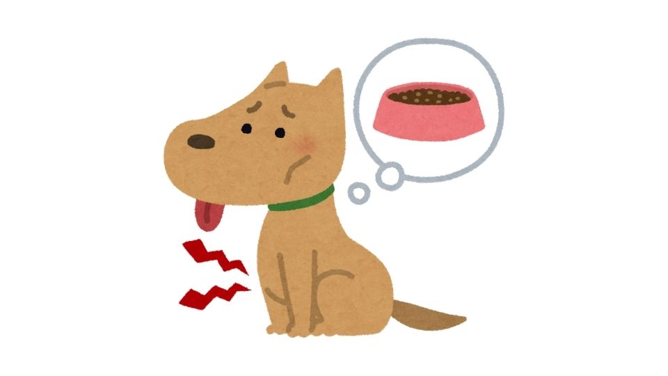 the dog illustration