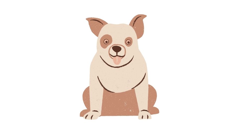 the dog illustration