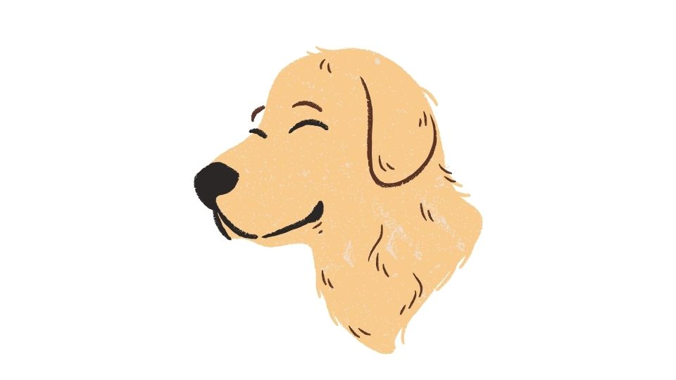 the dog illustration