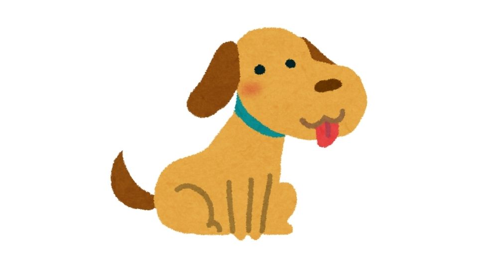 the dogs graphic