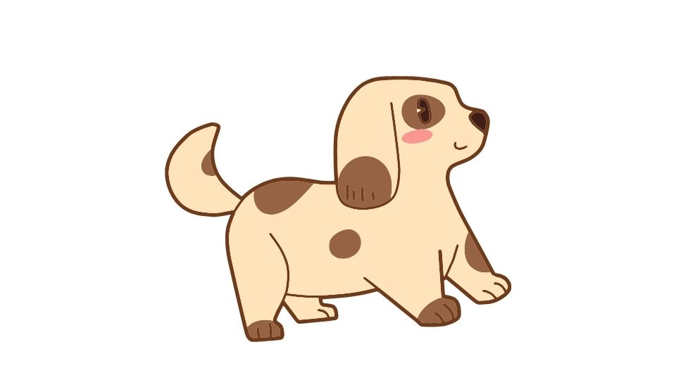 the dogs graphic