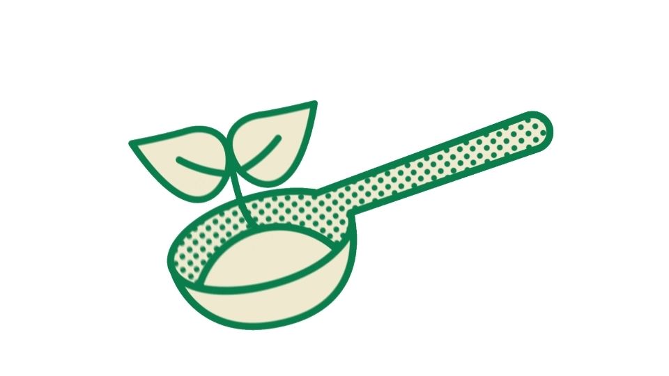 the green illustration